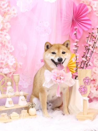 20250302茶々丸くん